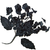 Black Flower Cluster