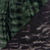 Standard / Black Pine / Onyx