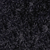 Black Swan / Small / Medium / Standard