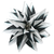 Black / White Starburst