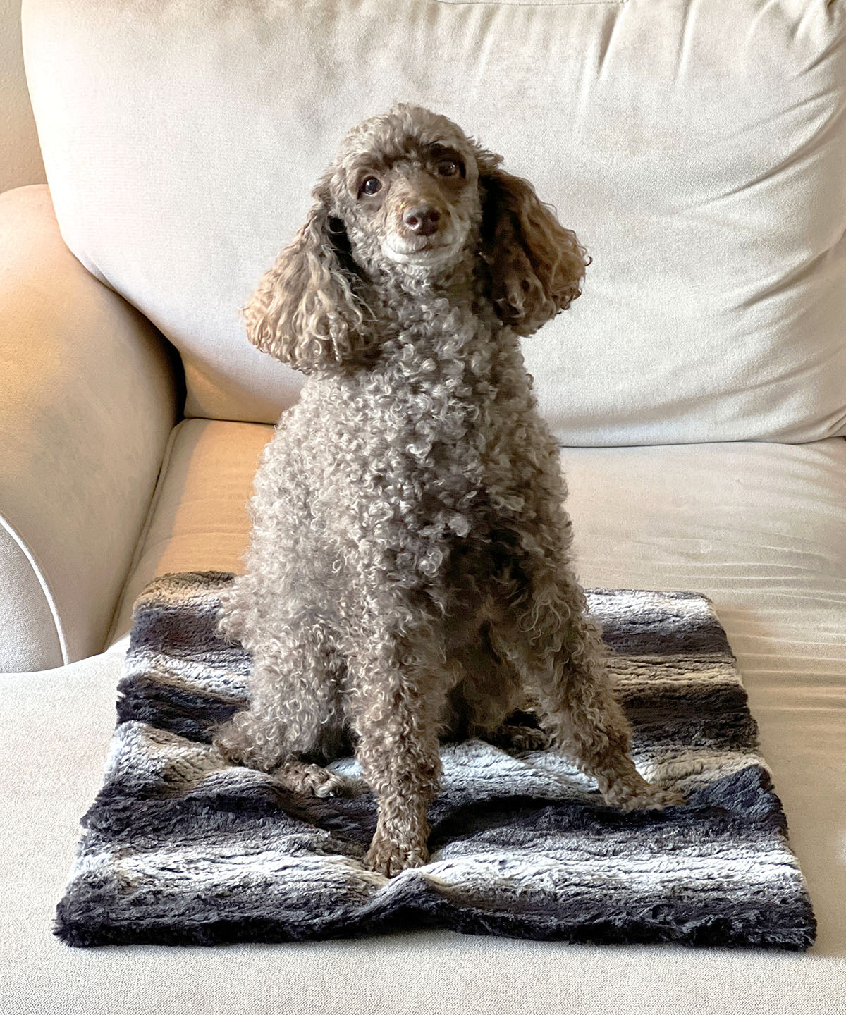 Pet Dog Blanket - Poodle on faux fur throw in Sequoia - Handmade in the USA by Pandemonium Seattle