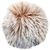 Large / Foxy Beach Faux Fur Pom