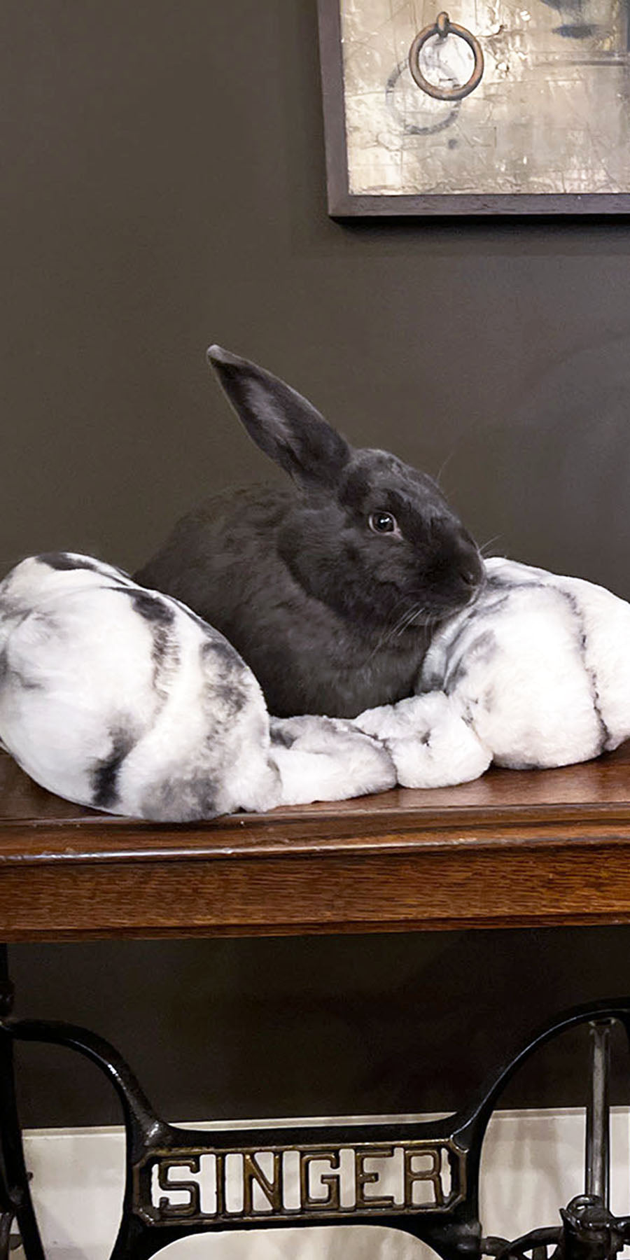 Bunny and Dog on Bolstered Pet Beds in Royal Opulence Faux Fur handmade in the USA by Pandemonium Seattle mobile view