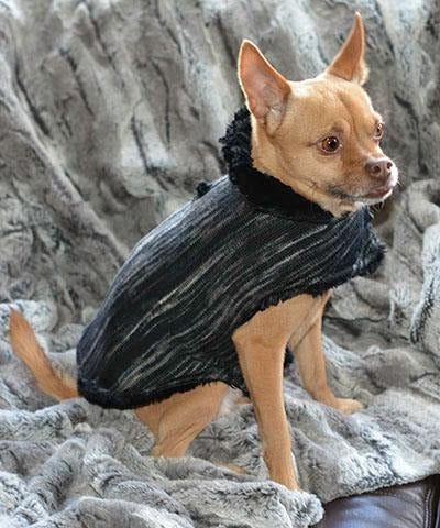 Chihuahua  Dog sitting on throw wearing Designer Handmade reversible Dog Coat Side View | blackberry cobbler knit reversing to Black  Faux Fur | Handmade by Pandemonium Millinery Seattle, WA USA