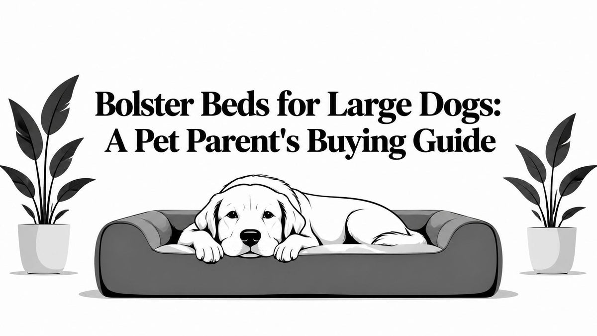 Bolster Beds for Large Dogs: A Pet Parent's Buying Guide