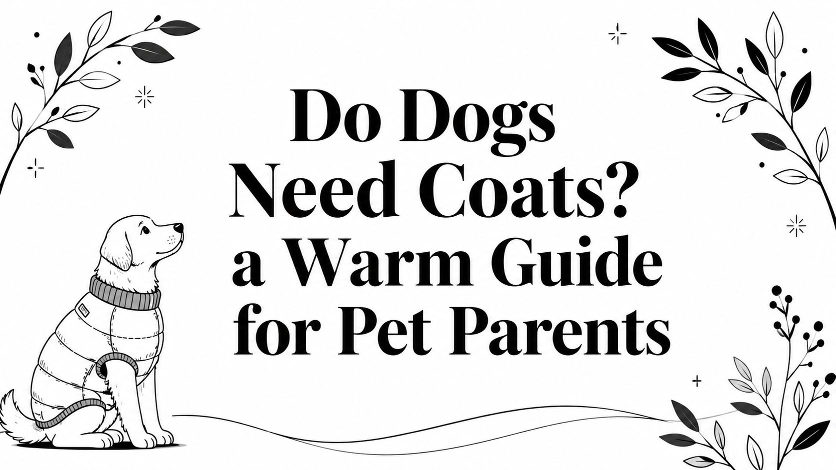 Do Dogs Need Coats? a Warm Guide for Pet Parents
