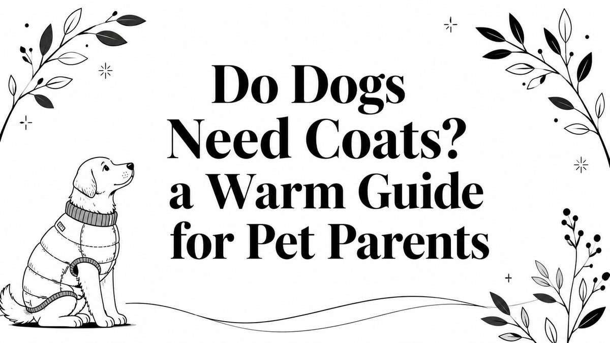 Do Dogs Need Coats? a Warm Guide for Pet Parents