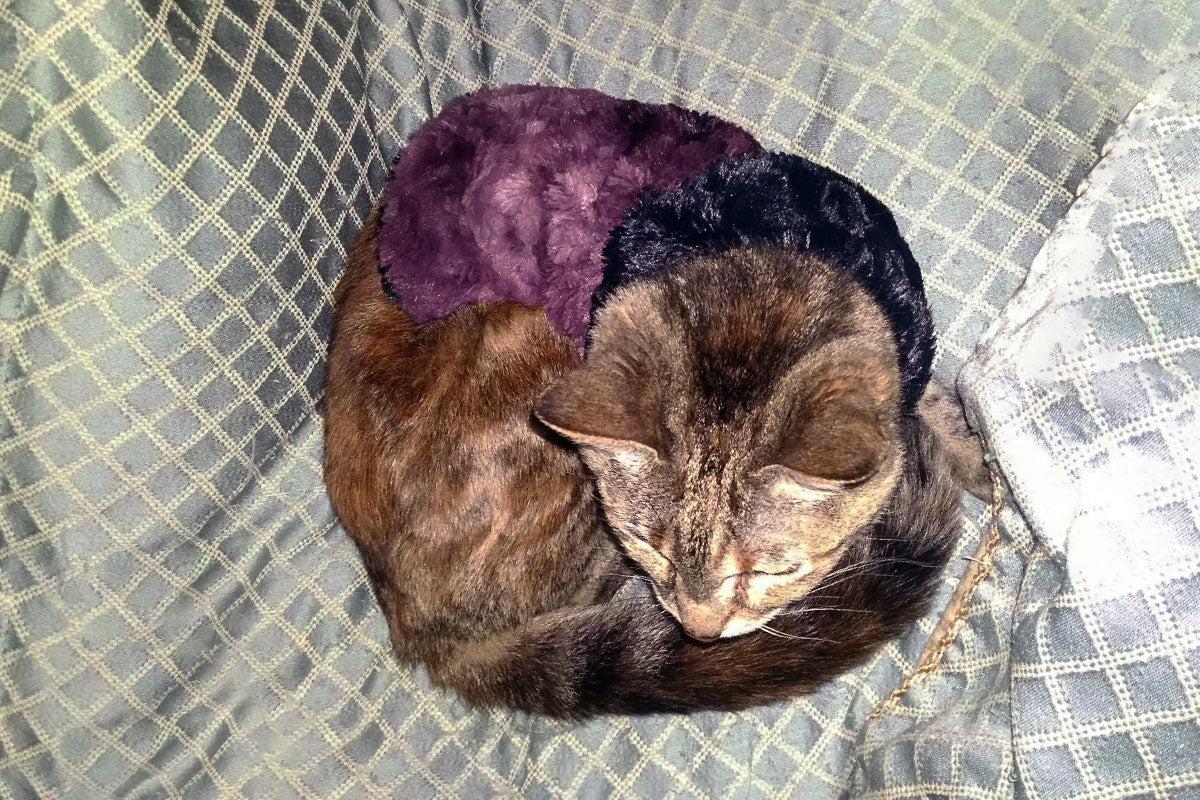 Tightening Your Belt Like An Artist - Jenn O.