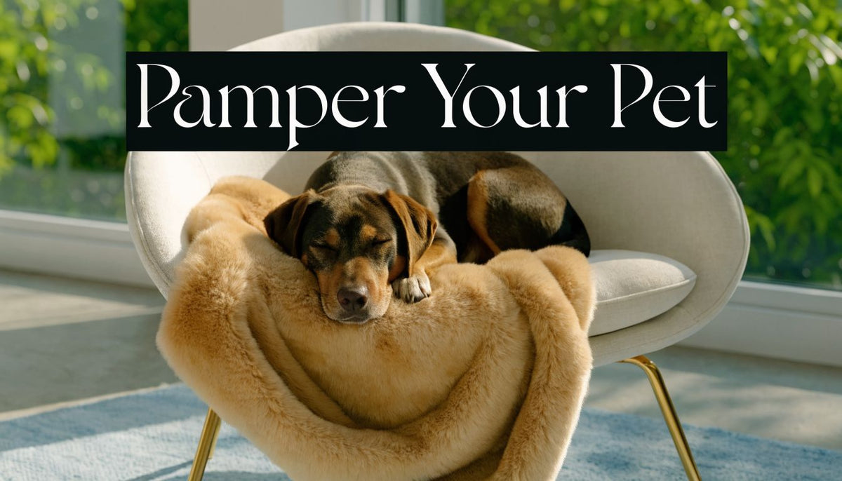 Pamper Your Pet: Luxury Faux Fur Dog Blankets