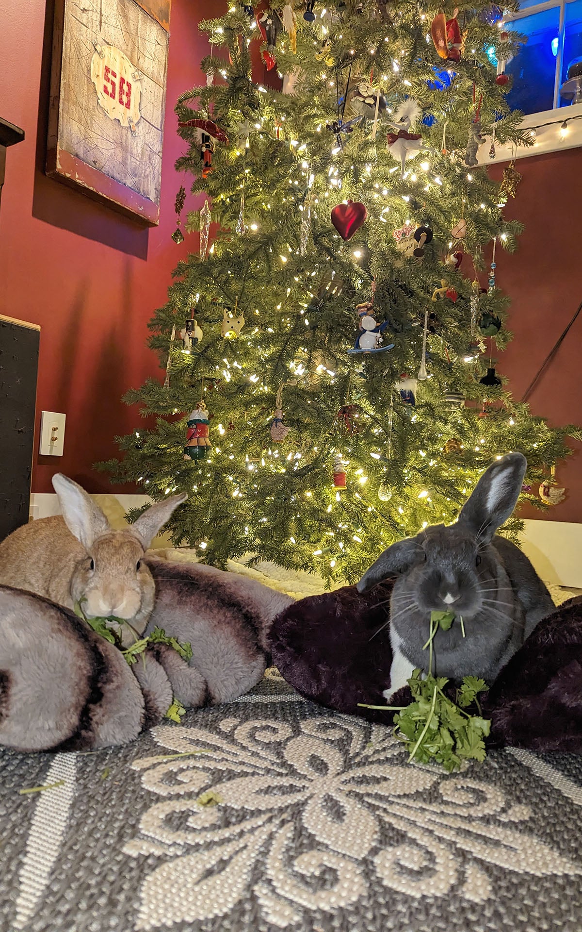 Bunnies in Faux Fur Pet Beds Made and Designed by Pandemonium Seattle