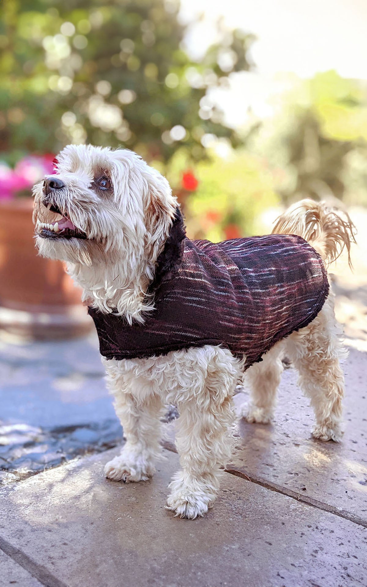 Dog Coat Faux Fur in Sweet Stripes Cherry Cobbler handmade in Seattle, WA USA by Pandemonium Millinery