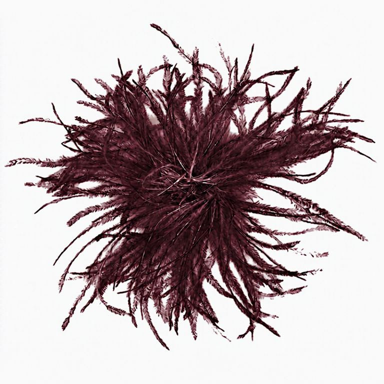 Ostrich Feather Brooch in Mulberry | Handmade in Seattle WA | Pandemonium Millinery