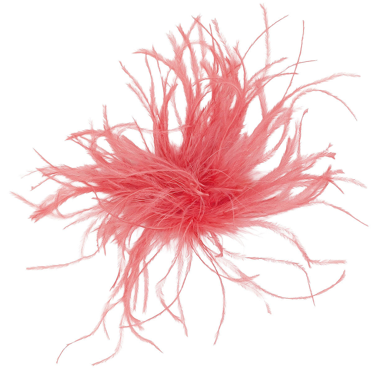 Ostrich Feather Brooches - Solid