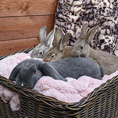 basket full of bunnies snuggled into a pink faux fur pet bed handmade in USA by Pandemonium Seattle