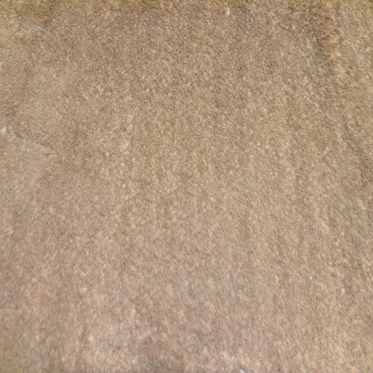Swatch of Coastal Plush Golden Bluff Faux Fur. Made in Seattle, WA, USA by Pandemonium Seattle.