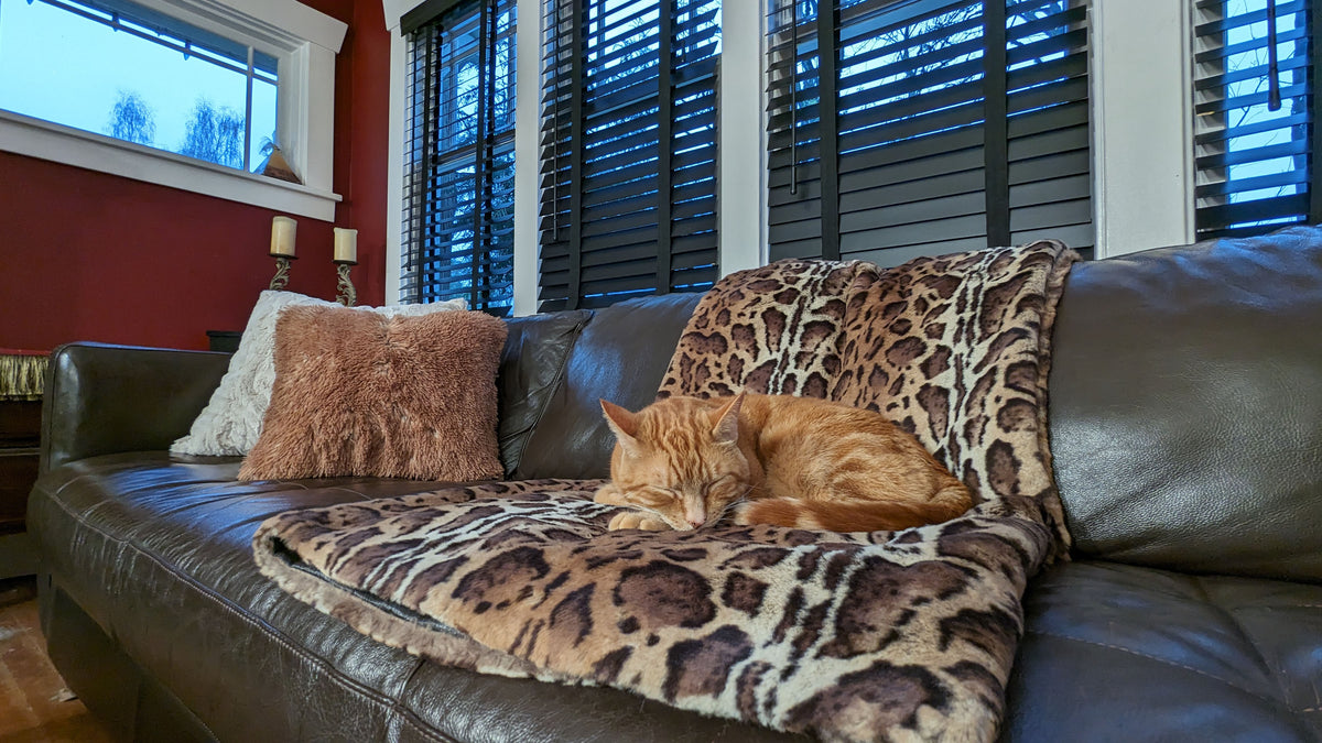 Throw on Couch with Ginger Cat | Ocelot with Black Satin Backing | Tissavel Faux Fur Throws | Pandemonium Millinery