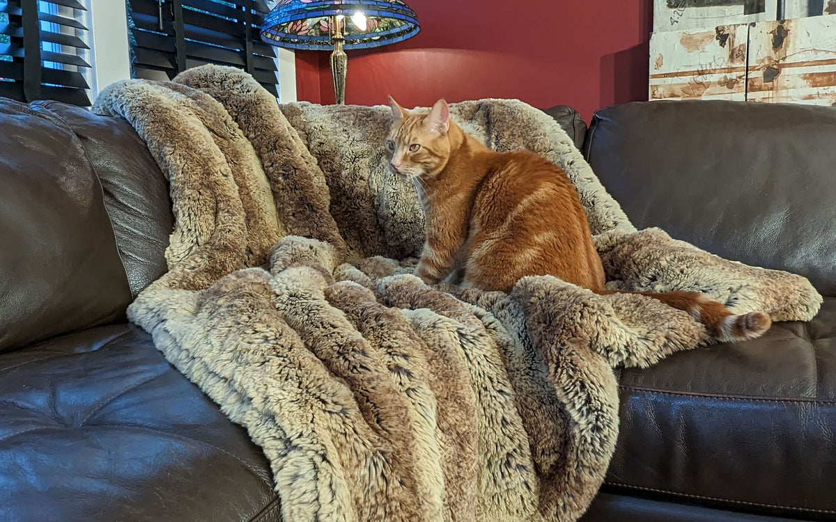 Throw on Couch with Ginger Cat | Savannah with Chocolate Satin Backing | Tissavel Faux Fur Throws | Pandemonium Millinery