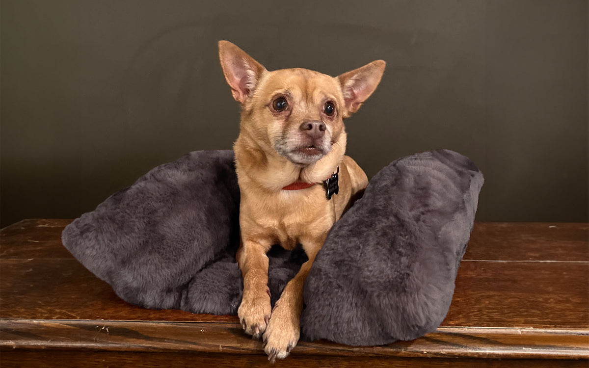 Doggie laying in Mink Gray Pet Bed, in Pandemonium Royal Opulence Faux Fur. Handmade in Seattle, WA.