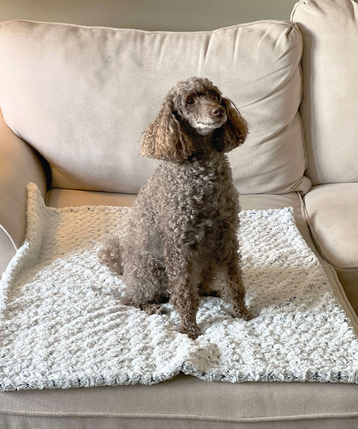 Dog and Pet Blanket - Poodle on throw in Rosebud Black Faux Fur - Handmade in the USA by Pandemonium Seattle