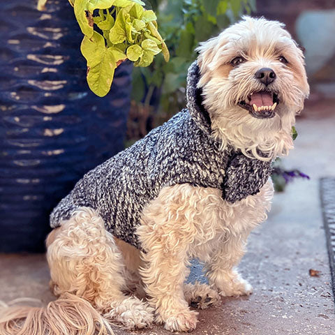 Happy dog wearing faux fur coat handmade in Seattle WA USA by Pandemonium Millinery