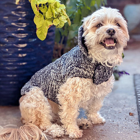 Dog best sale fur coats