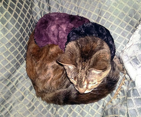Pet Cat Coat in Highland Thistle Pink Faux Fur handmade by Pandemonium Seattle