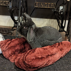 bunny on bolstered pet bed in maple glow faux fur handmade in the USA by Pandemonium Seattle
