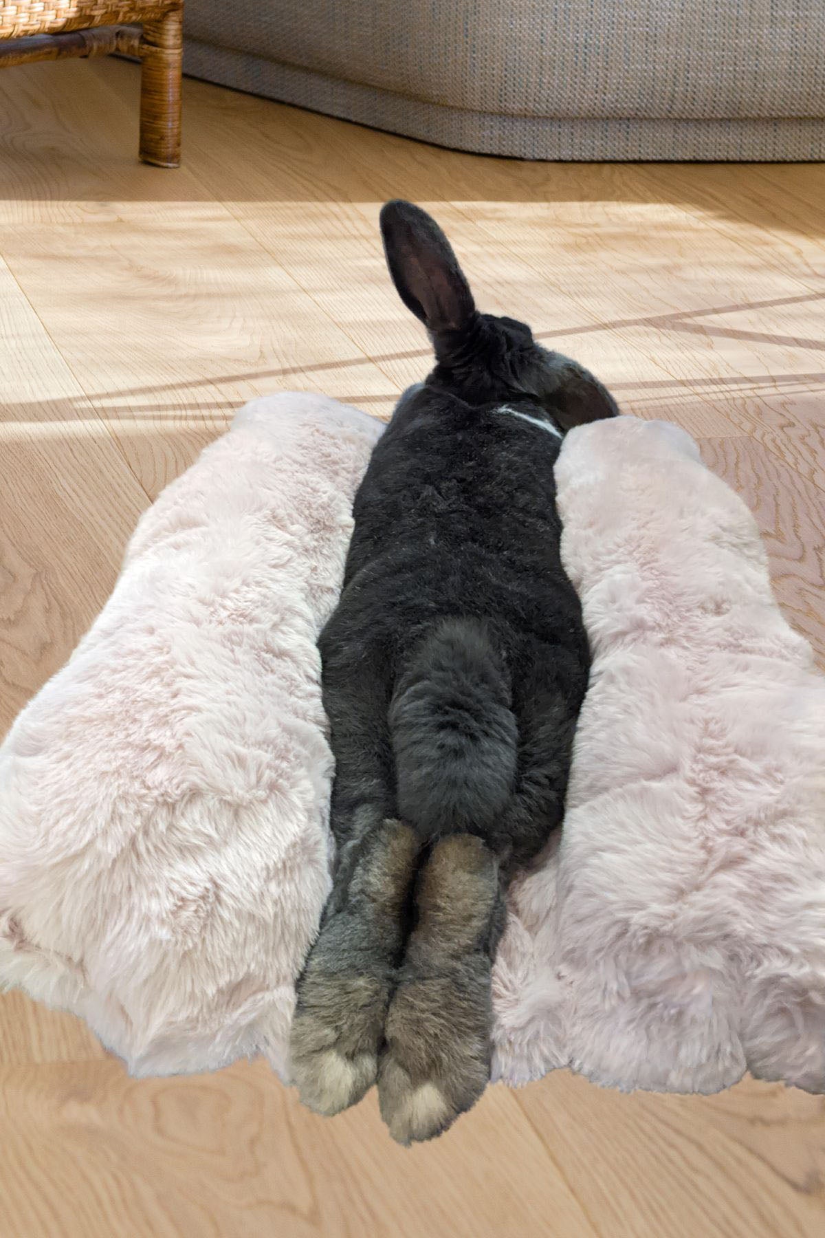Bunny rabbit laying on Rosé Pet Bed, in Royal Opulence Faux Fur. Handmade in Seattle, WA by Pandemonium Millinery.