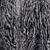 Medium / Siberian Lynx - Solid