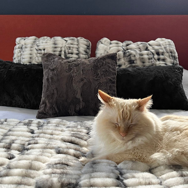 Cat sleeping on a bed with textured pillows and blanket in Royal Opulence in Aspen by Pandemonium handmade in Seattle