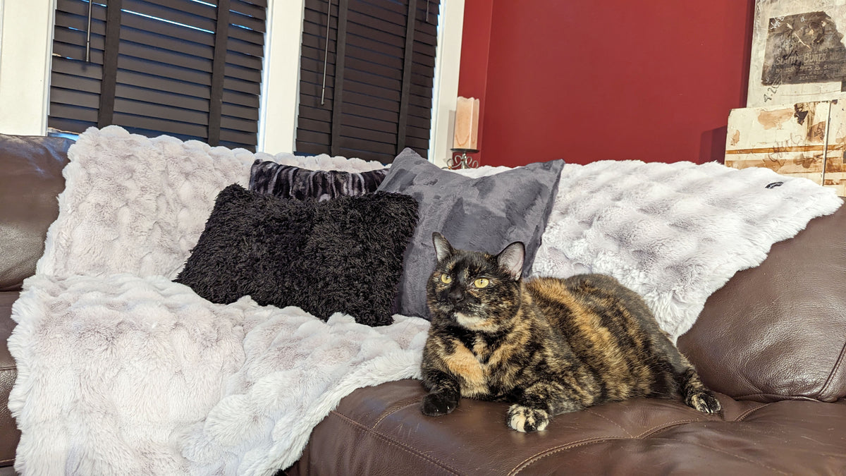 Faux Fur Throw and Pillows on Couch with Cat in assorted Faux Furs | By Pandemonium Seattle | Handmade in Seattle, WA USA