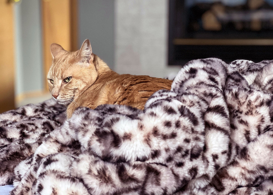 Royal Opulence Pet Throw in Snow Leopard, with cat. Handmade by Pandemonium Seattle.