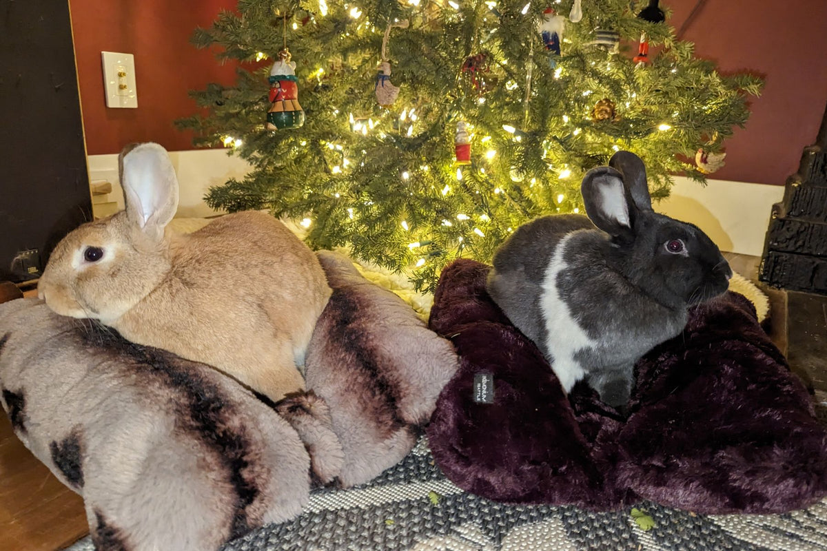 Two bunnies sitting in their Royal Opulence Pet Beds under the Christmas Tree. Pet Bed colors from left, Taupeful and Merlot. Handmade in Seattle, WA.