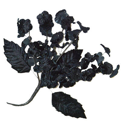 Flower Brooch Small Velvet Cluster in Black | Pandemonium Millinery