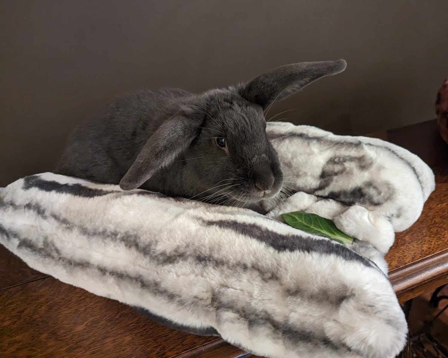 Bunny in Bolstered Pet Bed | Aspen Royal Opulence Faux Fur | Handmade in the USA by Pandemonium Seattle