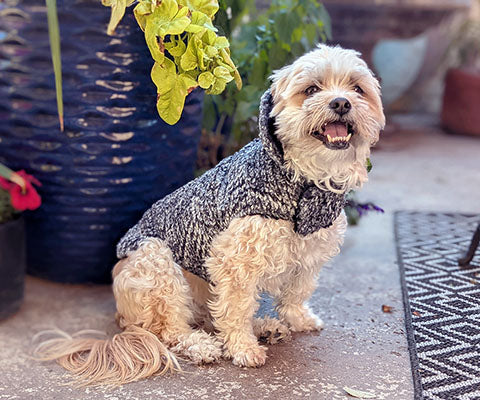 Reversible Dog Coat in Cozy Cable Faux Fur handmade by Pandemonium Seattle