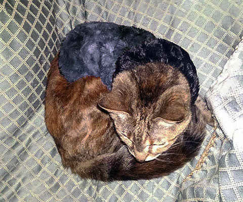 Pet Cat Coat in Highland Skye Blue Faux Fur handmade by Pandemonium Seattle