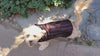 Shih Tzu Dog happily running on sidewalk wearing Designer Handmade reversible Dog Coat Side View | cherry cobbler knit reversing to Black  Faux Fur | Handmade by Pandemonium Millinery Seattle, WA USA