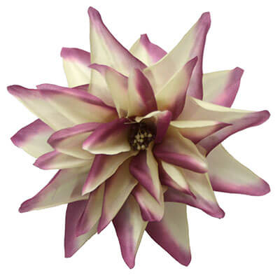 Flower Trim Starburst in Plum and Beige | Pandemonium Millinery