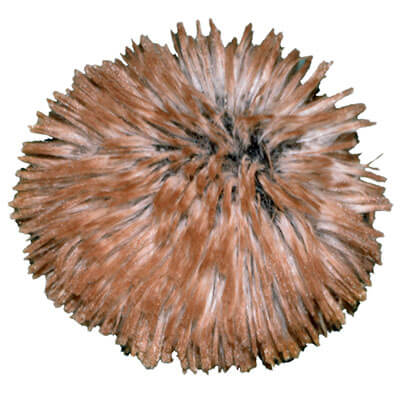 Large Fox Pom Pom in Red Fox | Handmade in Seattle WA | Pandemonium Millinery