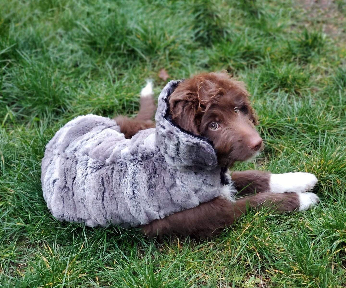 Dog laying on grass wearing Designer Handmade reversible Dog Coat Side View | Storm Night gray Faux Furr reversing to Black | Handmade by Pandemonium Millinery Seattle, WA USA