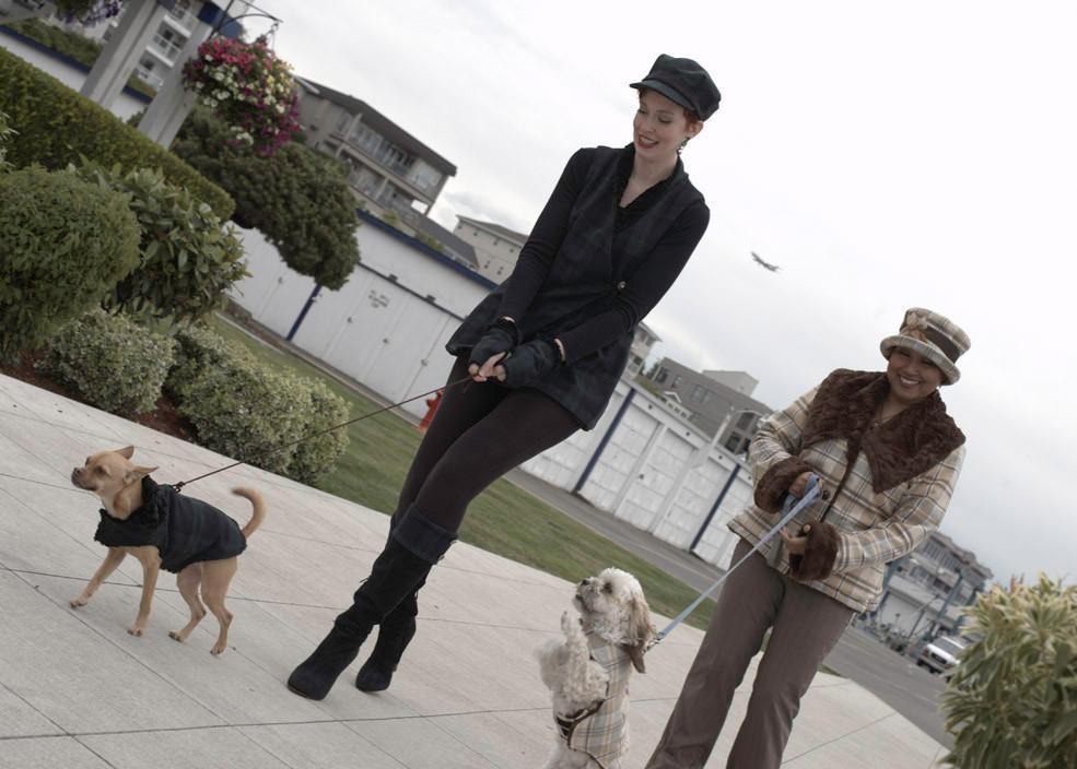 Women walking chihuahua and shih tzu wearing matching  outfits and Designer Handmade reversible Dog Coat | wool Plaid in Nightshade upholstery fabric reversing to Black Faux Fur | Handmade by Pandemonium Millinery Seattle, WA USA