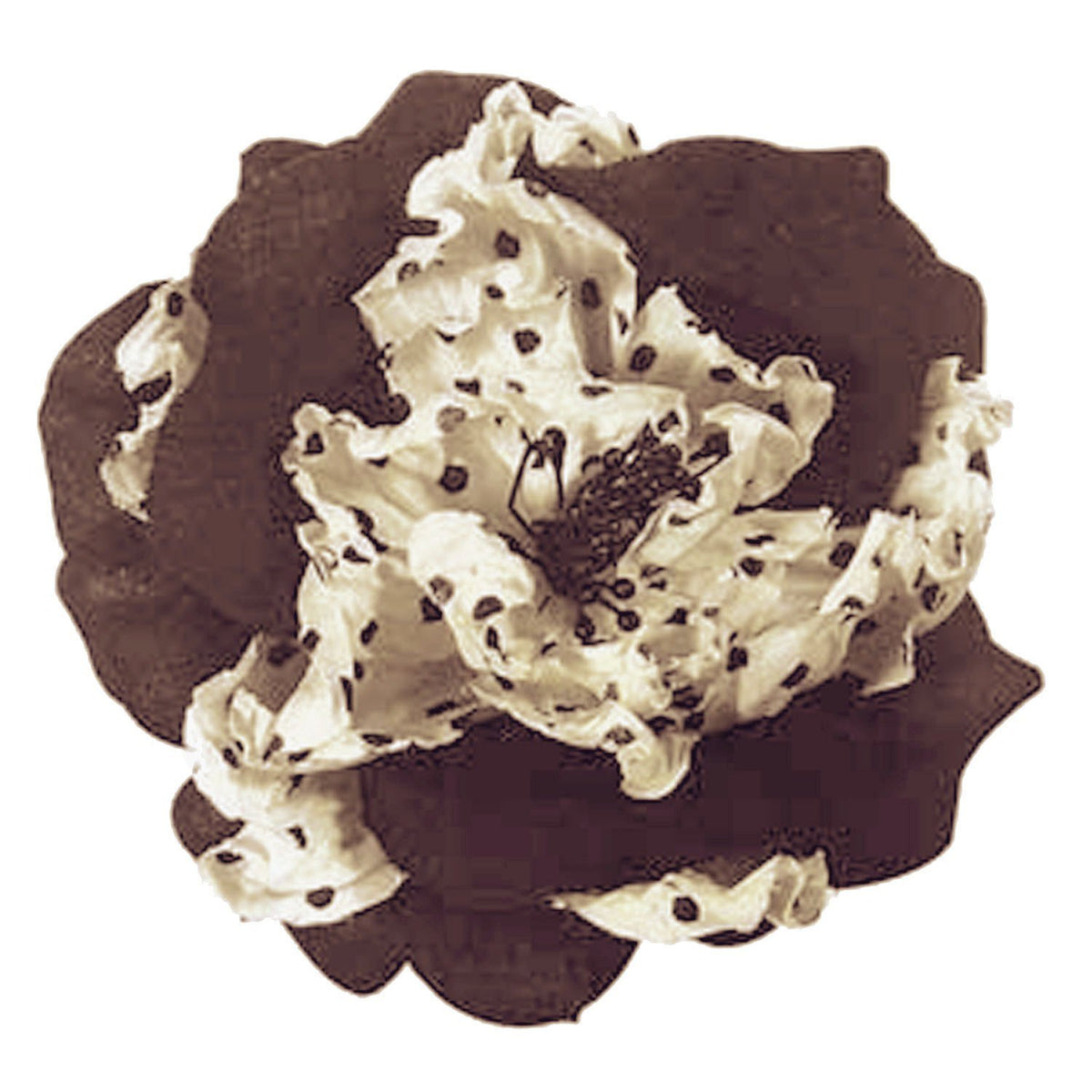 Flower Brooch in Brown &amp; Cream Polka Dots | Pandemonium Millinery