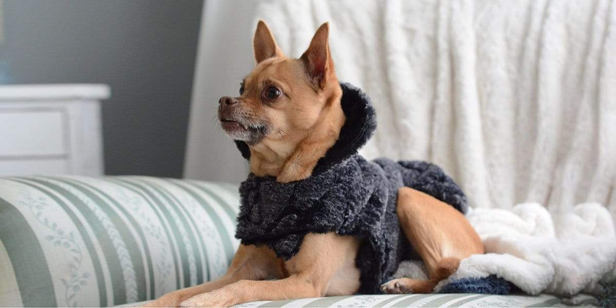 Pet / Dog Blanket - Luxury Faux Fur in Black Mamba