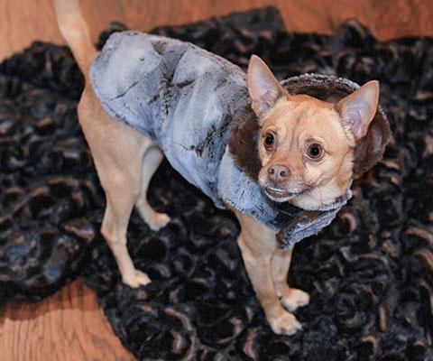 Pet / Dog Blanket - Luxury Faux Fur in Vintage Rose (SOLD OUT)