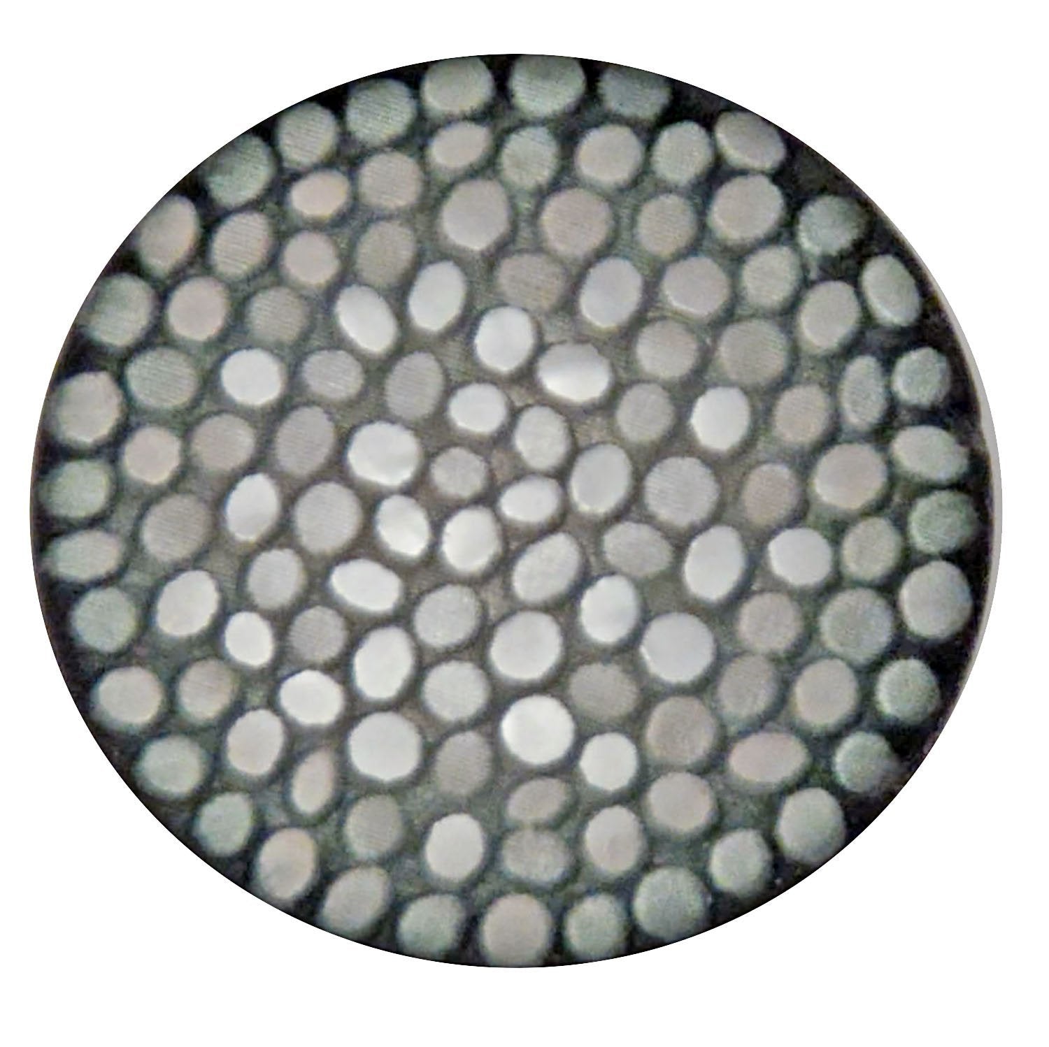 Italian Button | 1 1/2 Polyamide Speckled Button Oyster | Pandemonium Millinery | Seattle WA